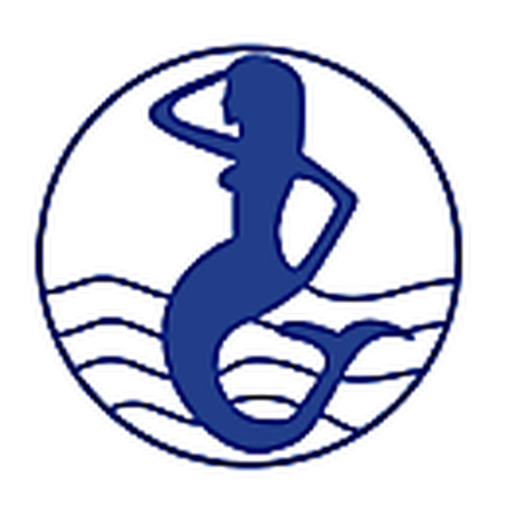 Logo PT Cheetham Garam Indonesia