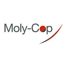 Logo PT Molycop Indonesia